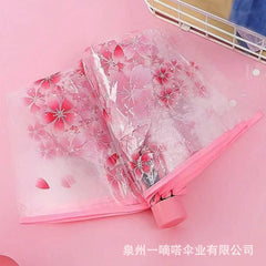 Transparent Umbrella (P-3588)