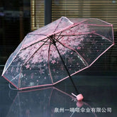 Transparent Umbrella (P-3588)