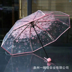 Transparent Umbrella (P-3588)