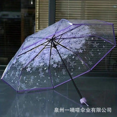 Transparent Umbrella (P-3588)